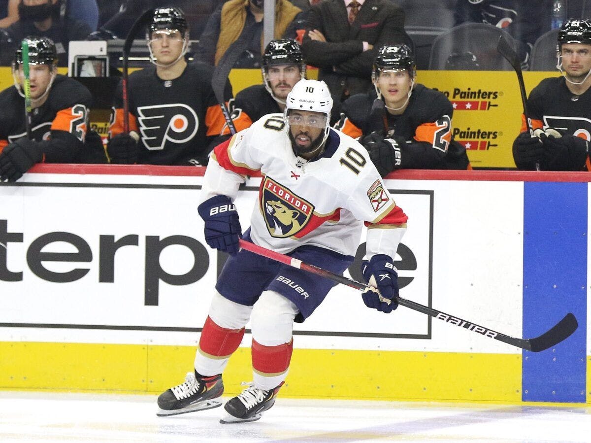 Anthony-Duclair-Florida-Panthers-2-1200x899-1.jpg